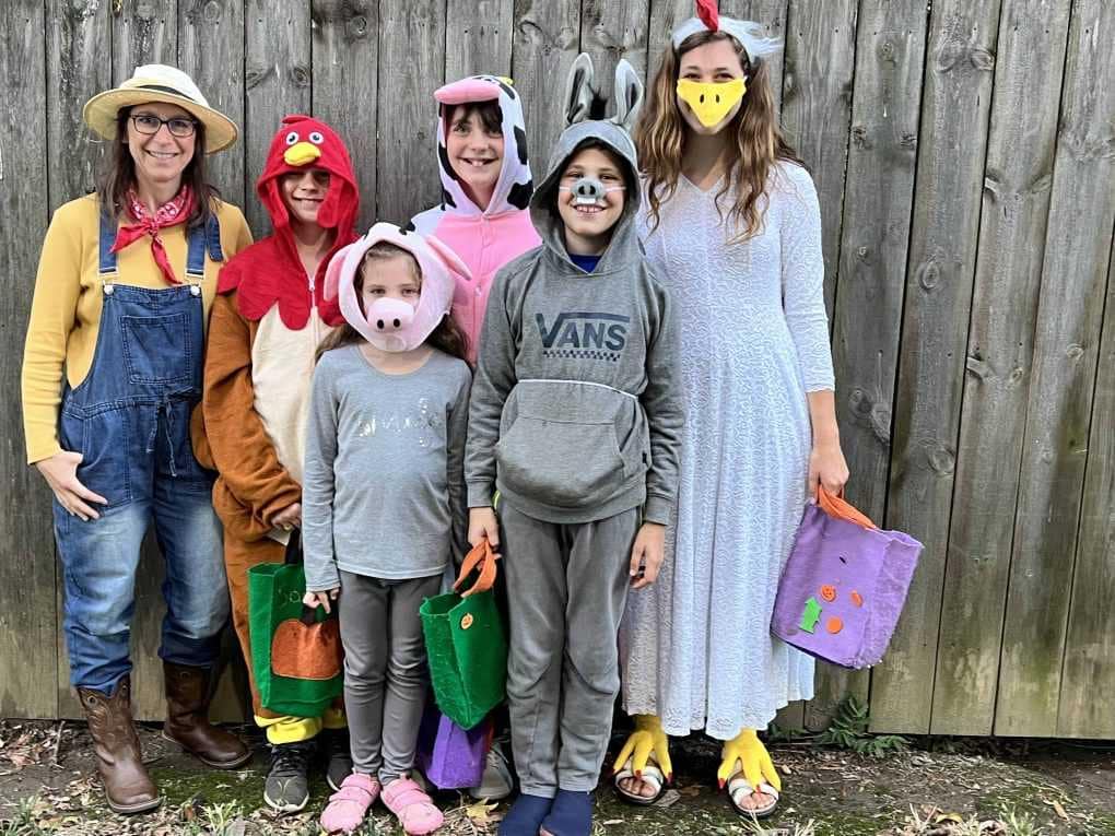 farmer and farm animals for Halloween